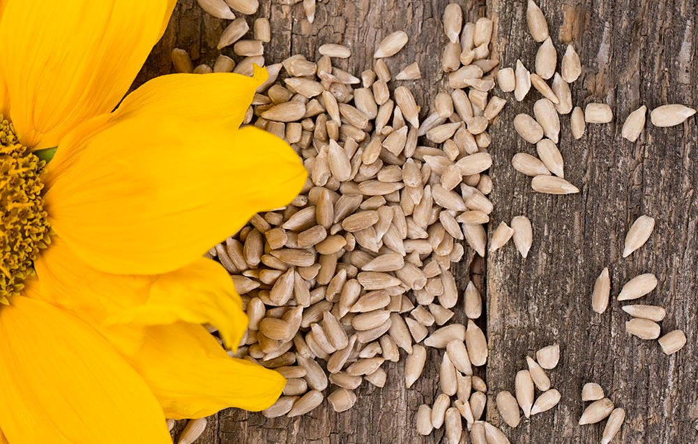 Семена подсолнечника.
