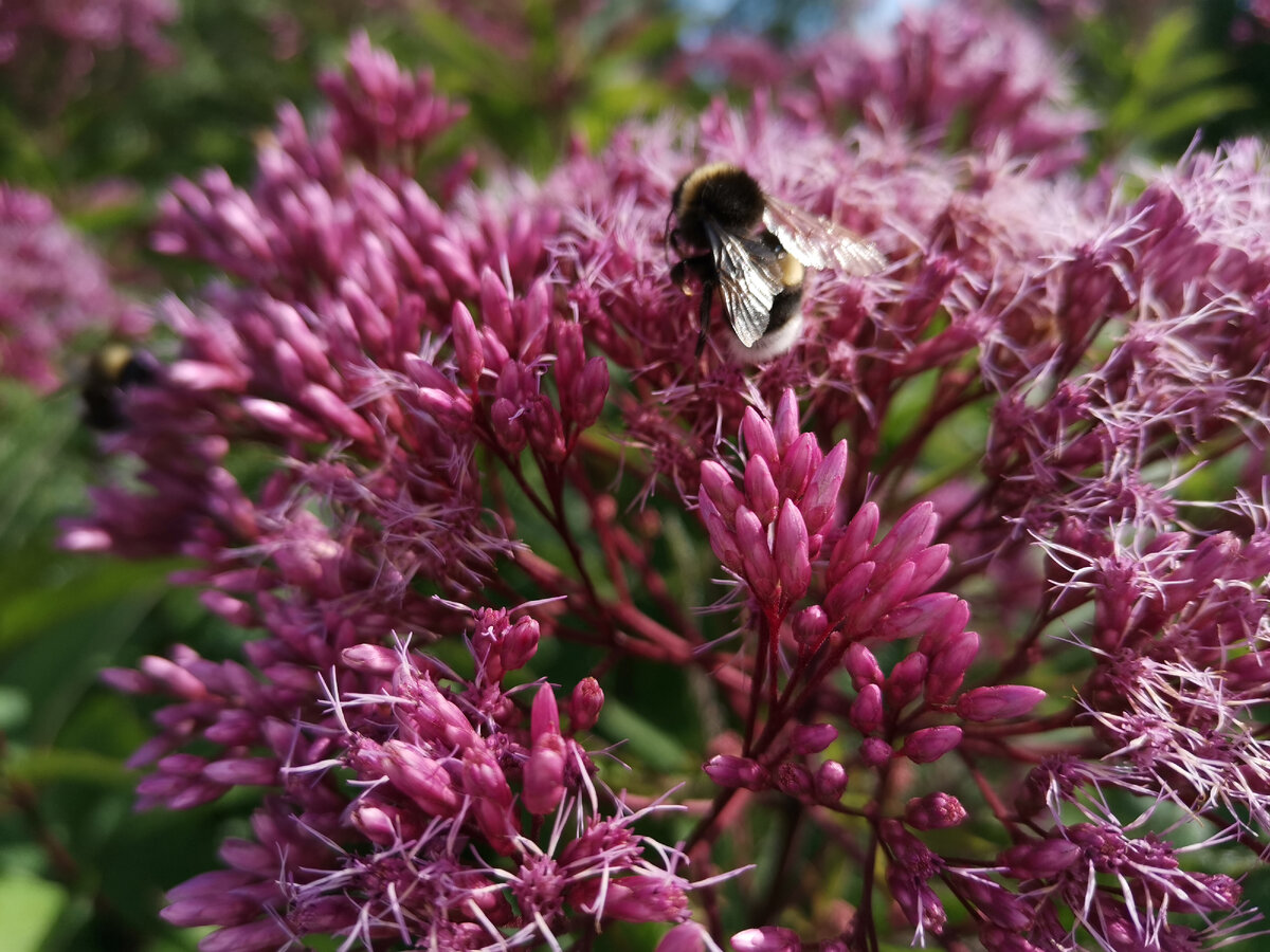 Фото автора канала