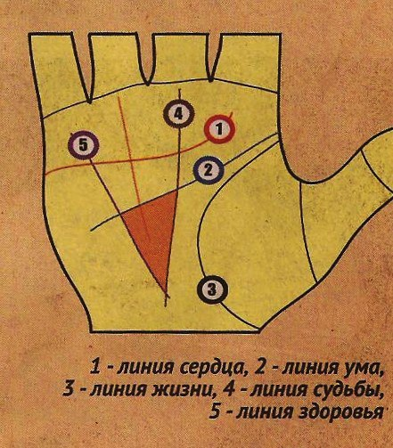 Денежный треугольник рассчитать с расшифровкой. Коррекционная хиромантия денежный треугольник. Линия жизни на ладони денежный треугольник. Денежный треугольник на ладони хиромантия. Денежный треугольник на ладони правой руки