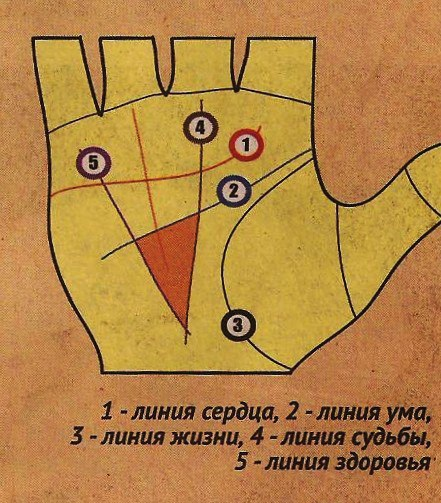 Денежный треугольник на ладони фото