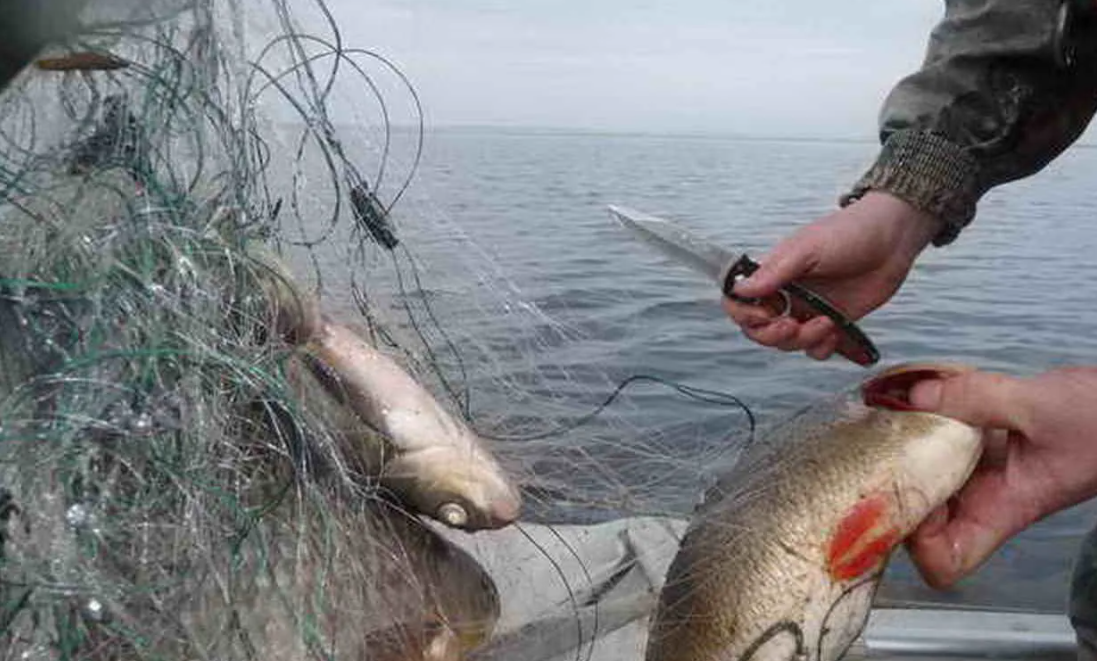 Фото с сайта nabchelni.bezformata.com