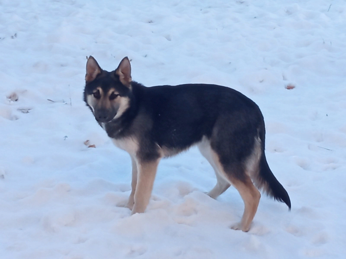 Никого не напоминает?