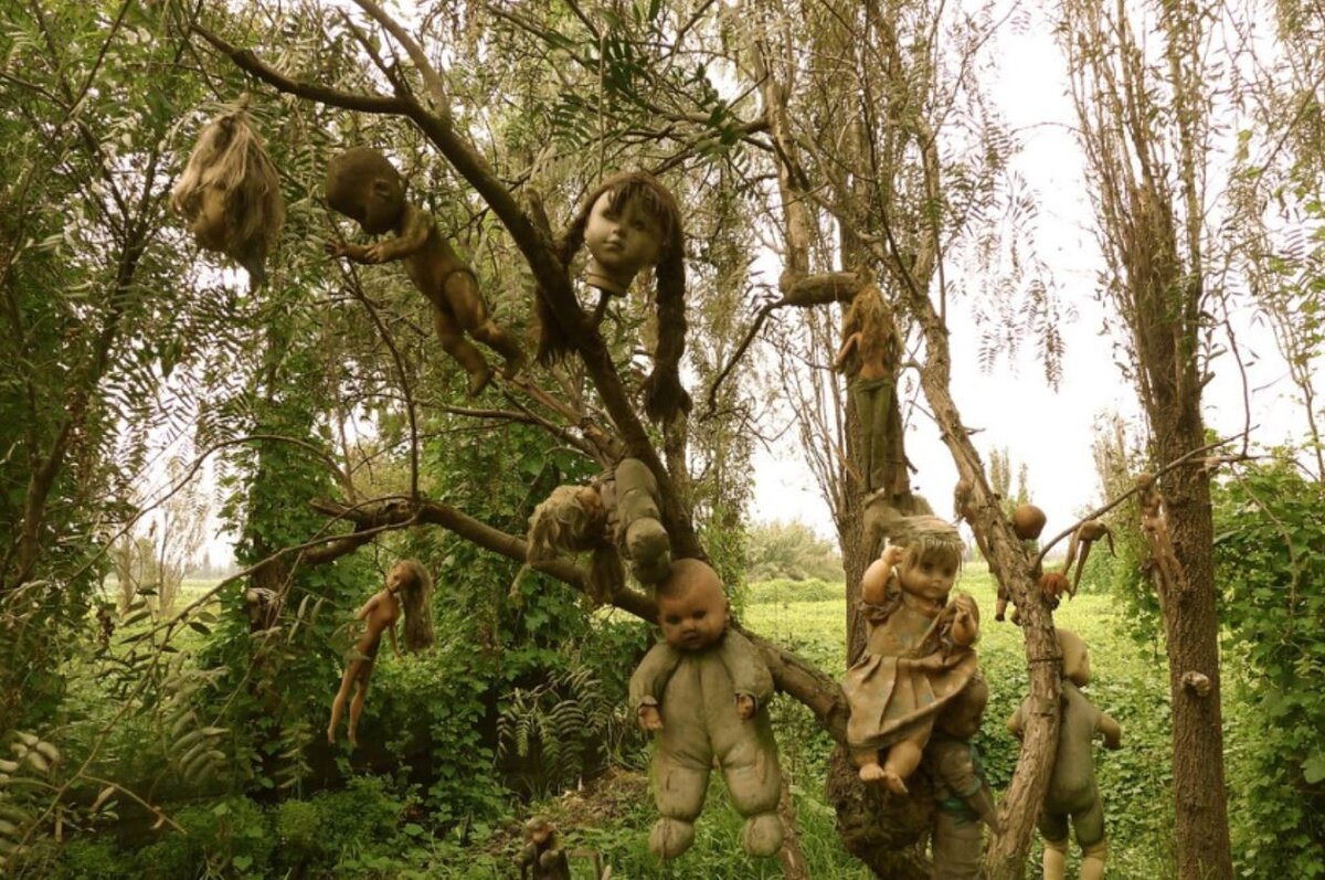 Exploring Mexico's Eerie Island of the Dolls