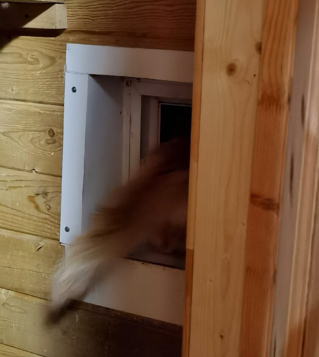 Только хвостик)