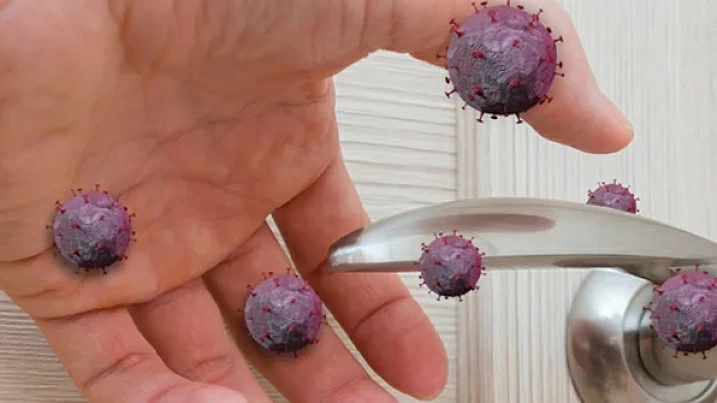 фото: shutterstock.com