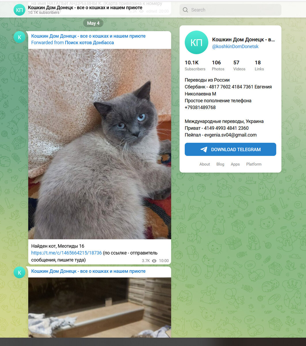 Скрин из телеги