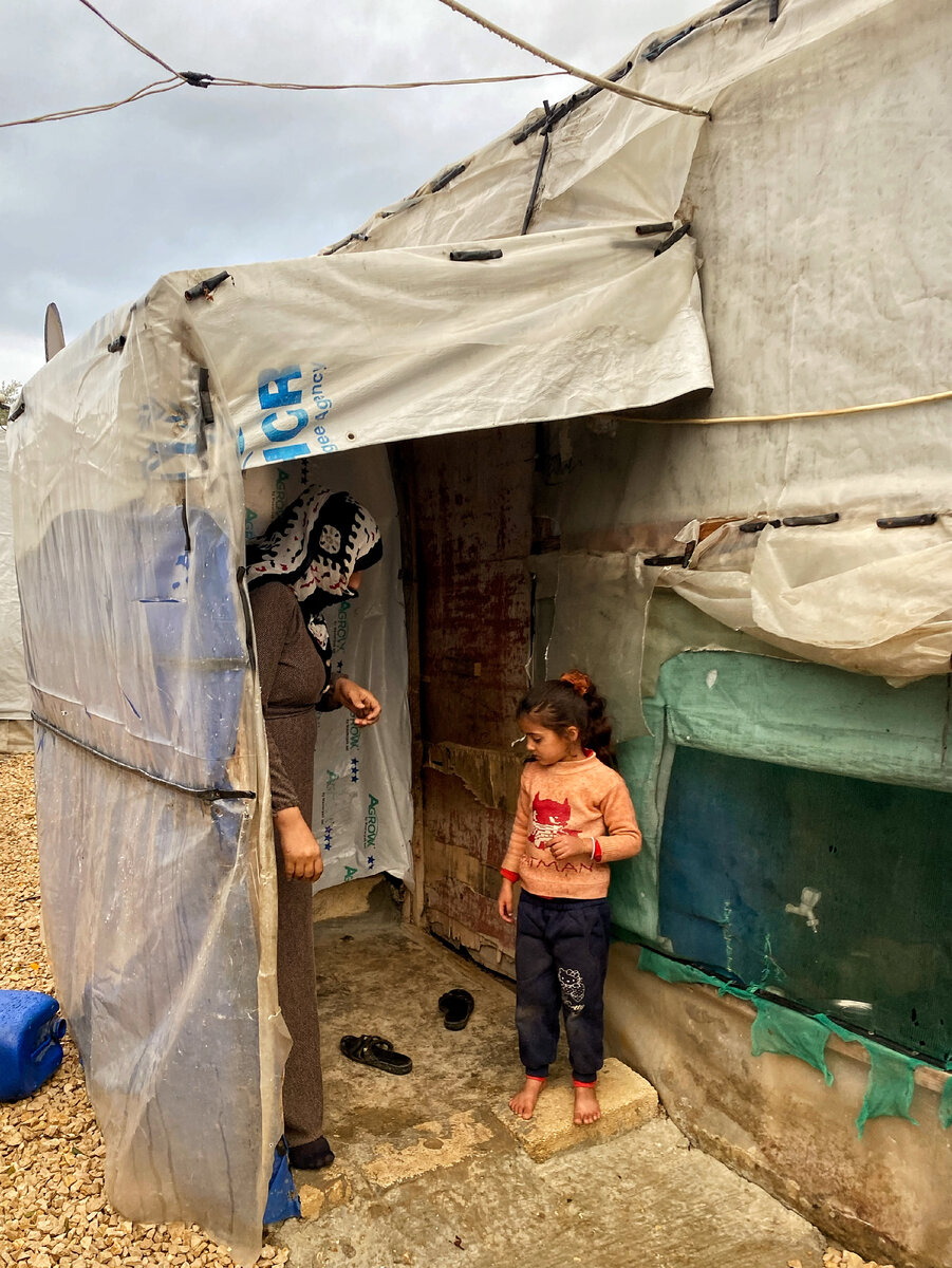 Тут хорошо видно, из чего сделаны их жилища.