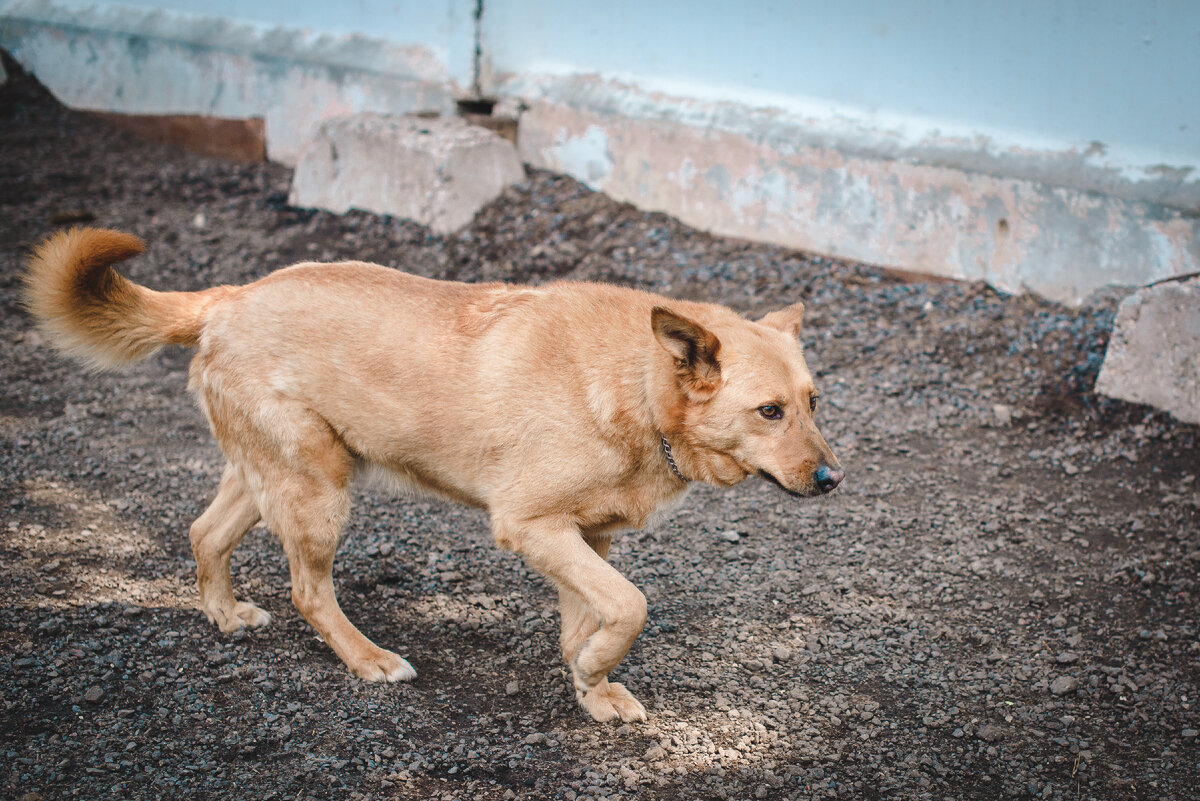 Мы обречены, и выбор только за тем, кто о нас читает