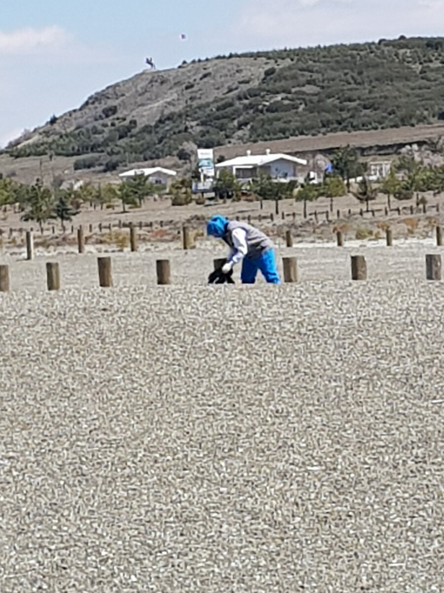 Уборка береговой полосы у озера Салда (турецкая провинция Бурдур). Кажется , нет ни соринки, но смотрительница трудится- видимо, находит, что положить в чёрный мешок для мусора.