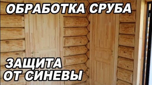 ОБРАБОТКА бани из сруба изнутри, ЗАЩИТА дерева от СИНЕВЫ и плесени. Отделка бани.