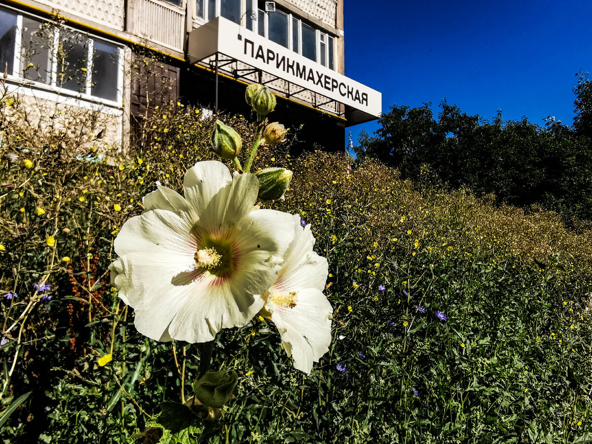 В районе Октябрьской улицы.