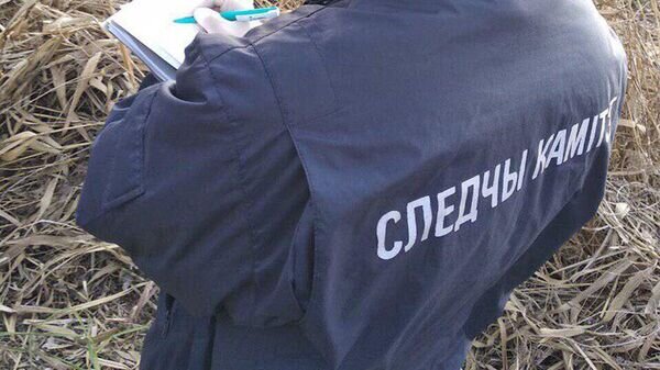   © Photo : СК Беларуси