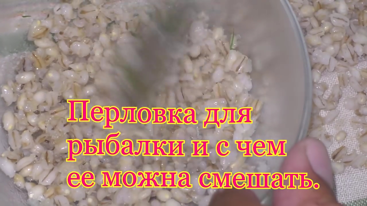 Перловка для рыбалки и с чем ее можно смешать. 8 рецептов.