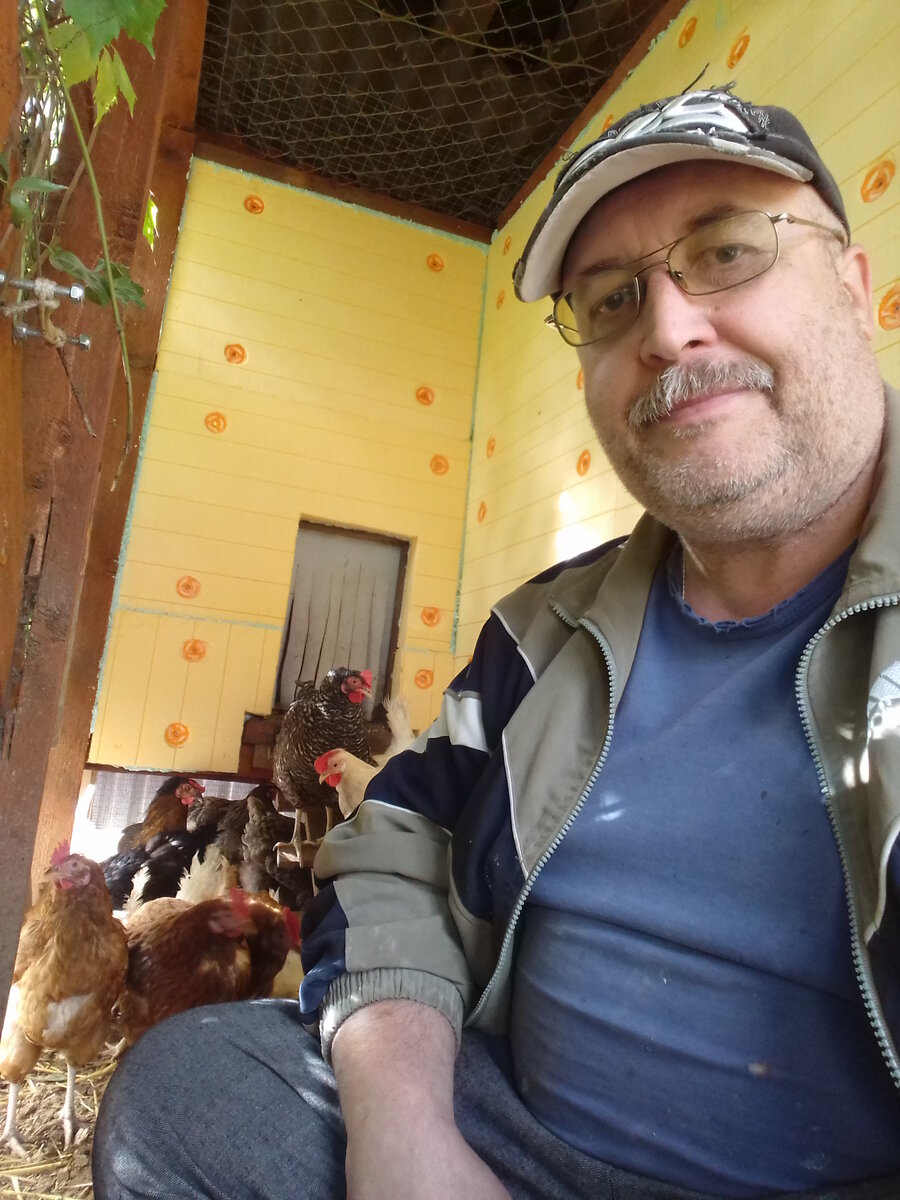Как же в деревне без кур