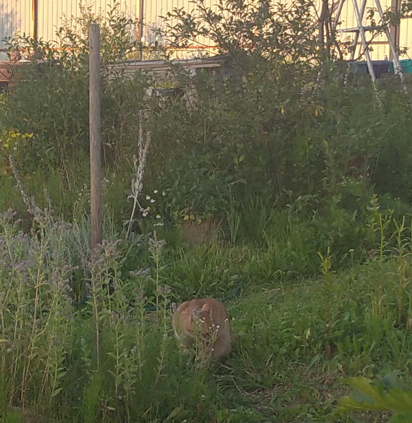 Личное фото. 