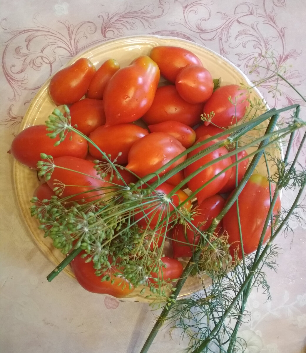 Мои помидорки так и просятся в банки