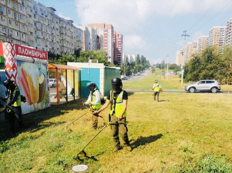 Ростов-на-Дону покос травы!
