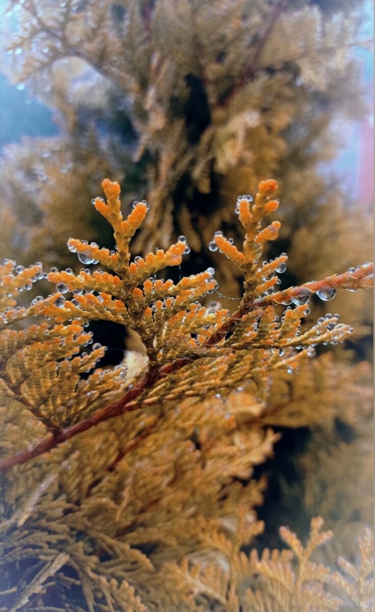 Красиво же