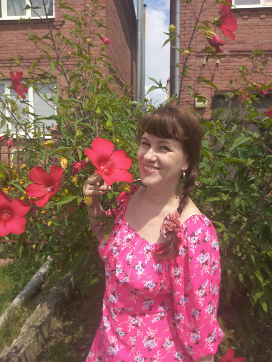 Травянистый гибискус и я