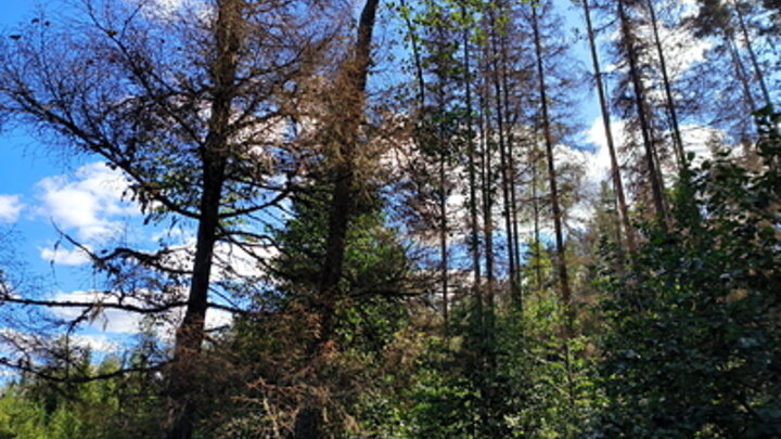 © MAKSIM KONSTANTINOV/GLOBALLOOKPRESS