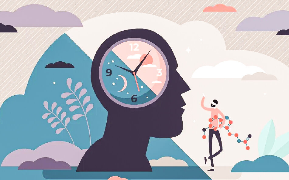 Изображения взяты из открытых источников.