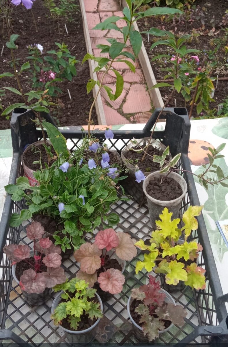 Такие фото мы делаем перед упаковкой 