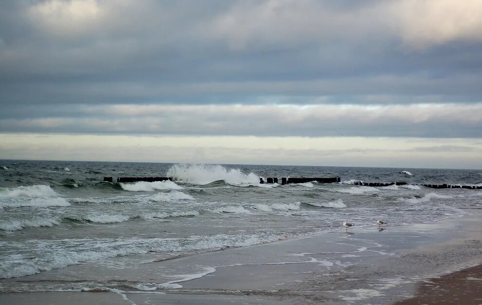 Фото из Интернет. 