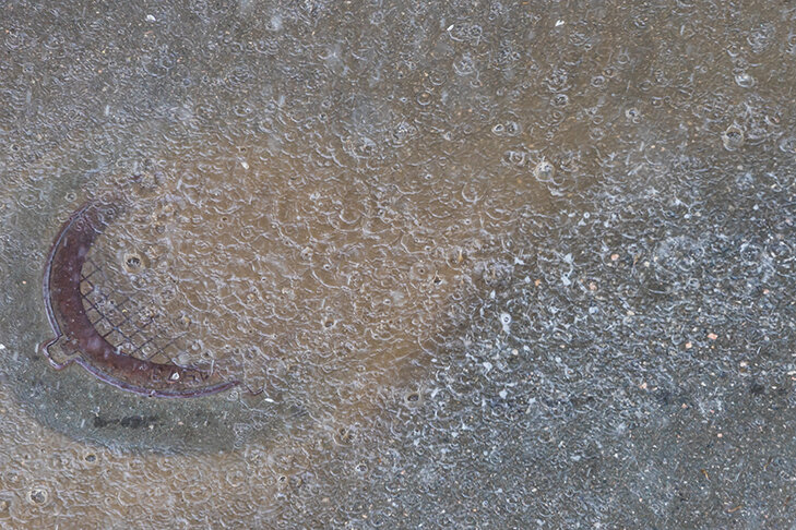    Фото Андрея Заржецкого