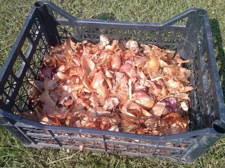 Главное условие, что бы морковь дышала