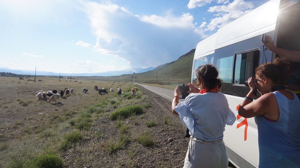 Автор: Кирьянов АлексейМы много раз начинали и заканчивали работу с турагентствами. Провели последних туристов из турагентств и теперь пора написать этот пост. 
