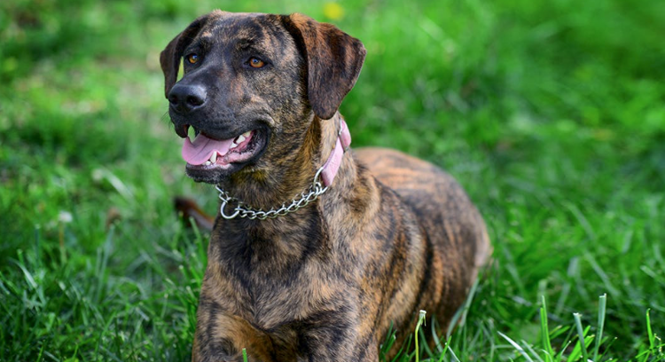 Палец вверх этому охотнику!  😌 😏