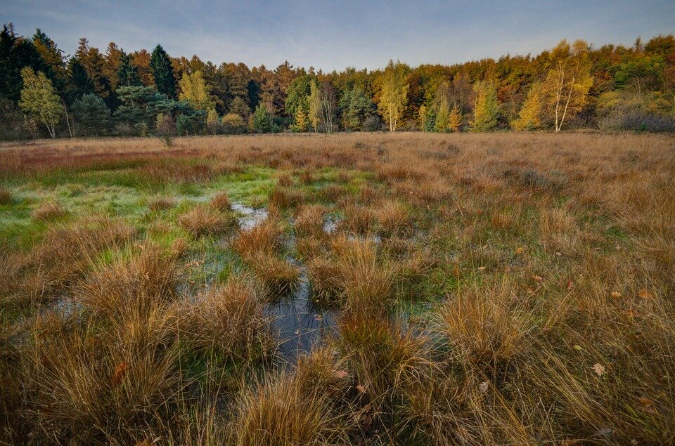 взято с pixabay.com
