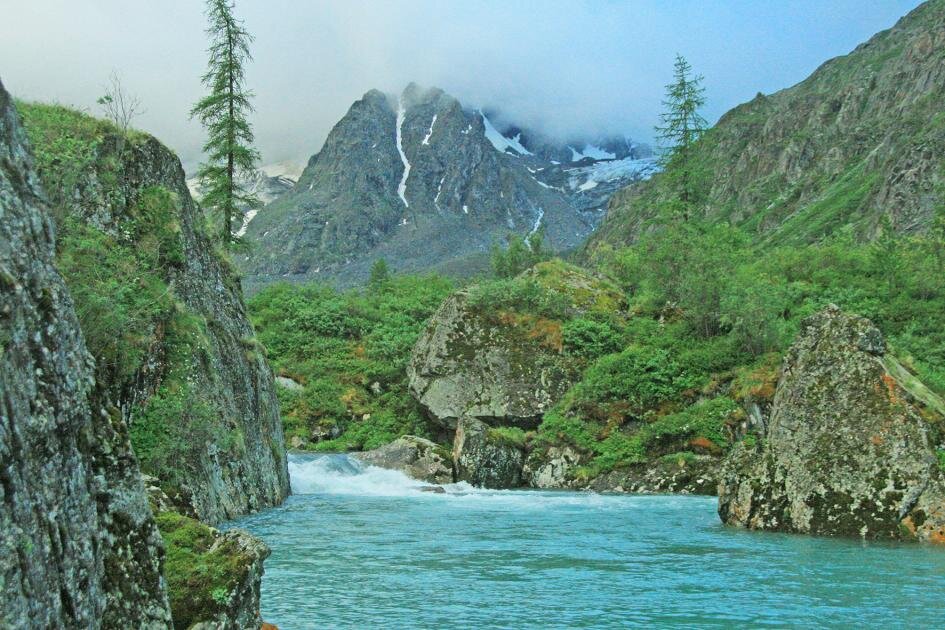 Сколько сохнет бревно после дождя