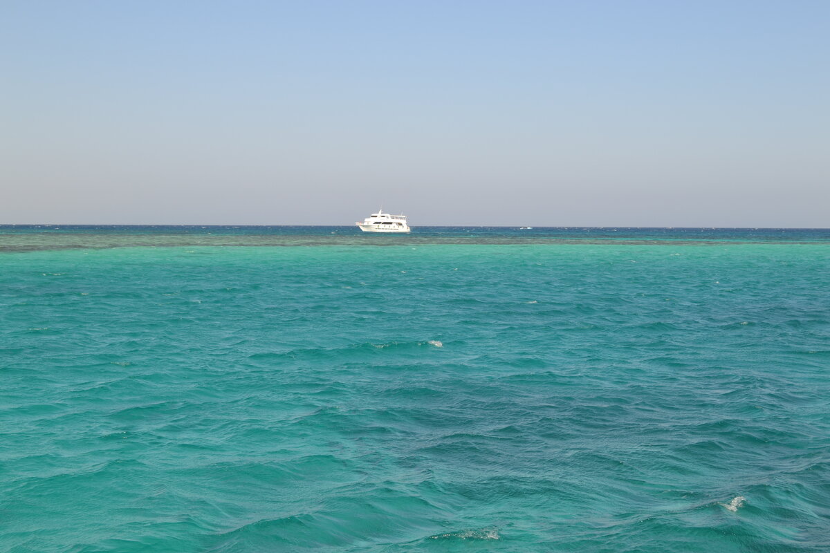 Красное море - одно из самых соленых в мире. В нем обитает полторы сотни разновидностей кораллов, а флора и фауна поистине уникальны.