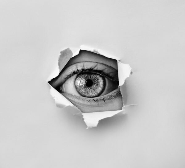 photo (c) Spionage - True Film Production
