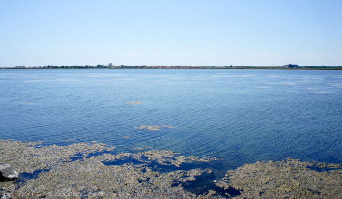 озеро в Поморие. фото https://vicamilleri.com/