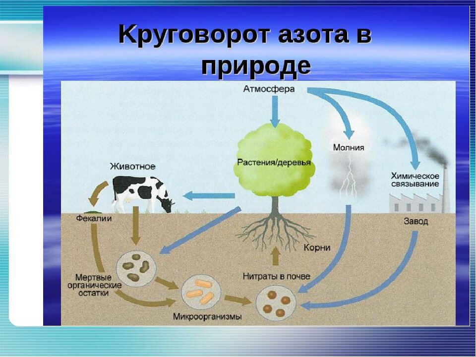 Сделайте анализ рисунка и укажите для каких целей человек использует атмосферу