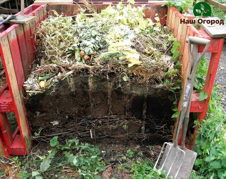 Здоровый компост - отличное удобрение для всех культур.