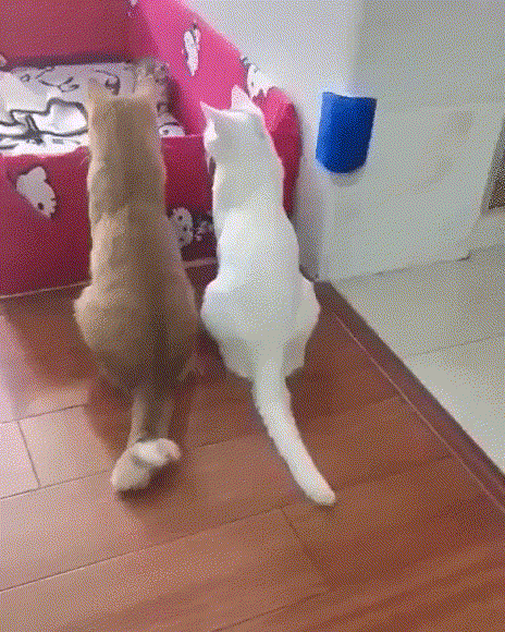 Любyюmcя дemкaми