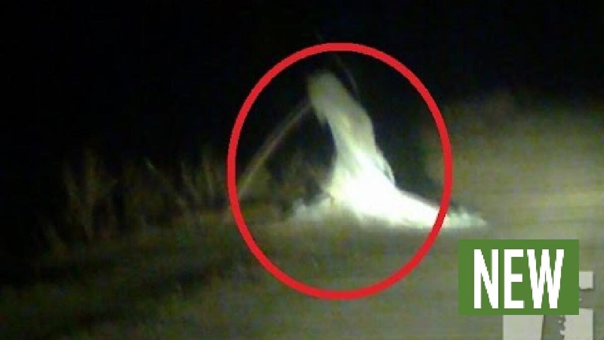 фото с просторов инета