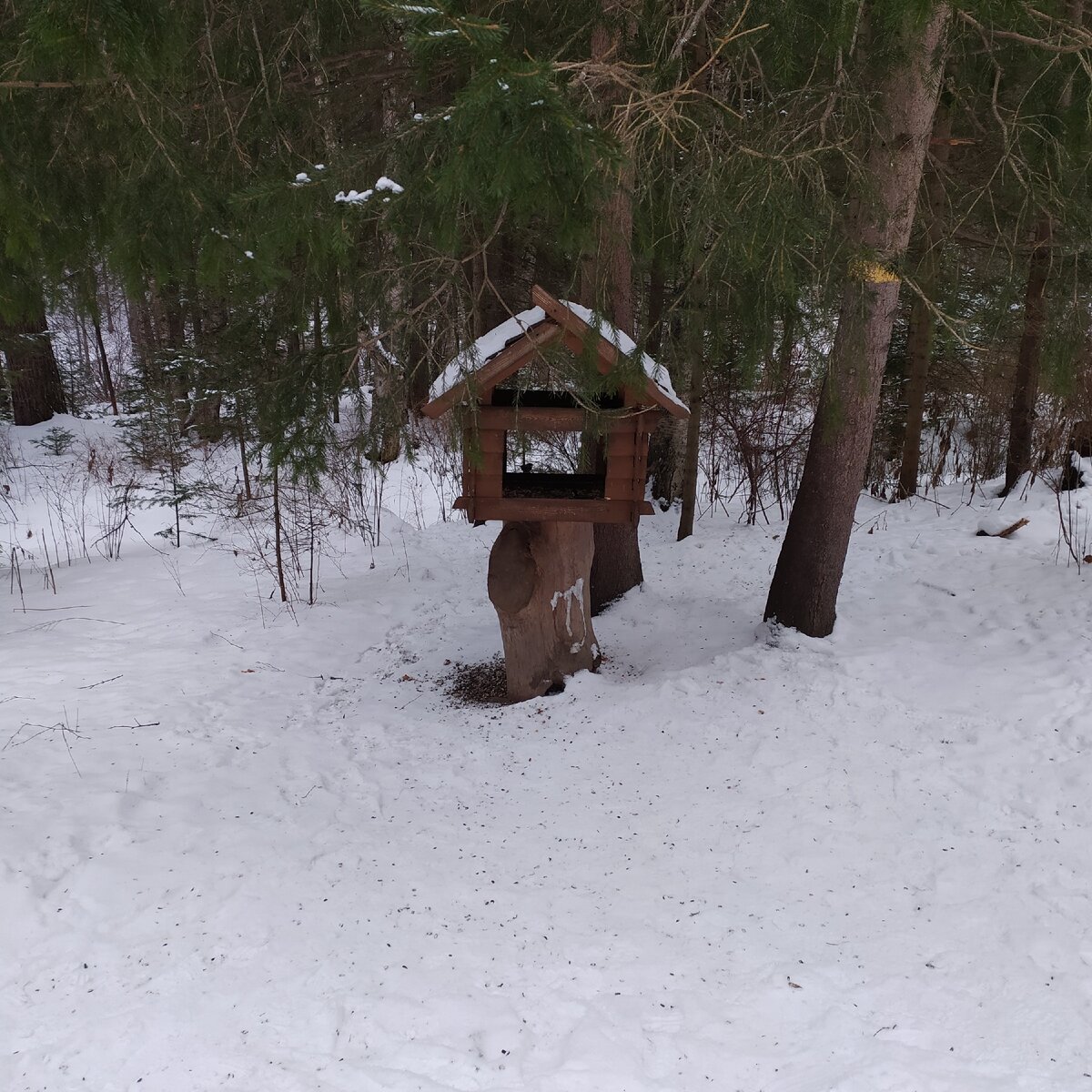 Кормушка для птиц
