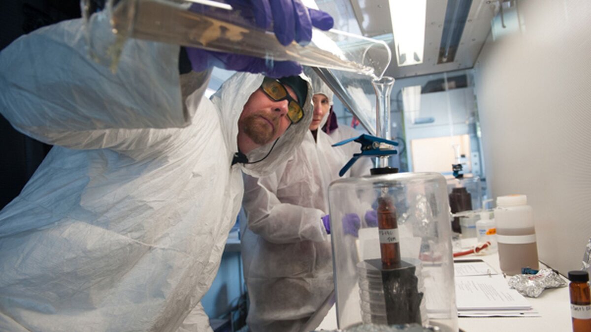  Группа российских ученых, изучавших озеро Восток, что расположено в Антарктиде, обнаружили новый вид микроорганизмов. Новые виды бактерий открывают достаточно часто, но в данной ситуации привлекает не сам факт открытия, а то, что микроорганизмы имеют сходство с земными лишь на 86%. Остальная часть ДНК бактерий, вполне возможно, может иметь внеземное происхождение.
Новый вид микроорганизмов только начали изучать и его еще не успели назвать. Бактериям лишь присвоили код: w123-10. Глубина залегания, а если быть точным, толщина льда, на которой была обнаружена новая форма жизни, соответствует слоям, возраст которых приблизительно пять тысяч лет. Бактерии найдены в полностью жизнеспособном состоянии и хорошо себя чувствуют при температуре -60°С.
Ученые рассказали, что если догадки о внеземном происхождении найденных микроорганизмов подтвердятся, то это поможет составить представление о том, какие формы жизни могут быть развиты на других планетах.
Само озеро Восток является самым крупным в Антарктиде, оно составляет в длину 175 км, а в ширину 65 км. Изоляция озера от внешнего мира произошла порядка 15 миллионов лет назад. Температура воды даже в самые теплые дни не превышает -3°С, а давление составляет около 400 атмосфер. Ученые высказывают предположение, что на дне озера существуют геотермальные источники, а вода обогащена кислородом.
Стоит также сказать, что w123-1 не первый микроорганизм, найденный при исследовании льда озера. 12 лет назад на глубине 3607 м и 3561 м соответственно ученым уже удавалось найти новые виды микроорганизмов, но тогда в земном происхождении 