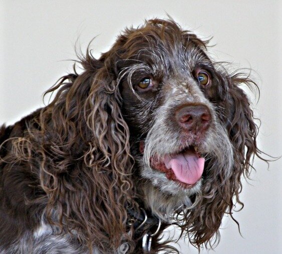 Источник: Яндекс картинки