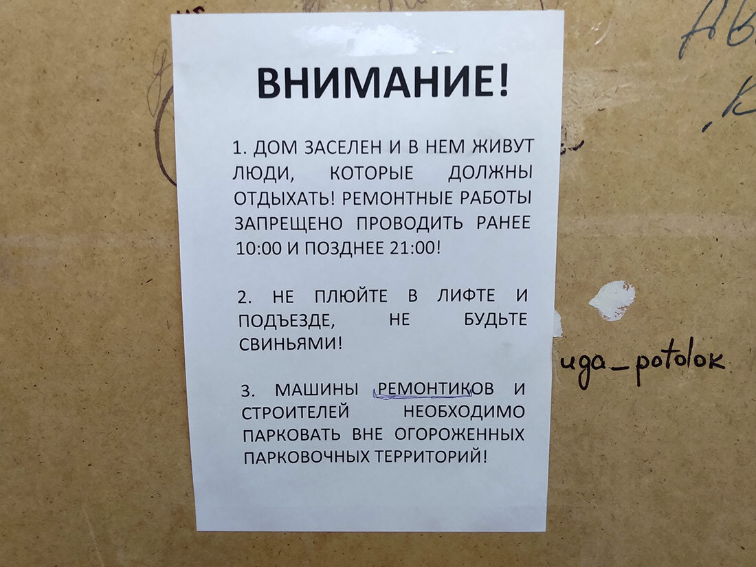 Оказывается есть правила двора и правила дома. Что же будет, если их  нарушить? | TurboAnimals | Дзен