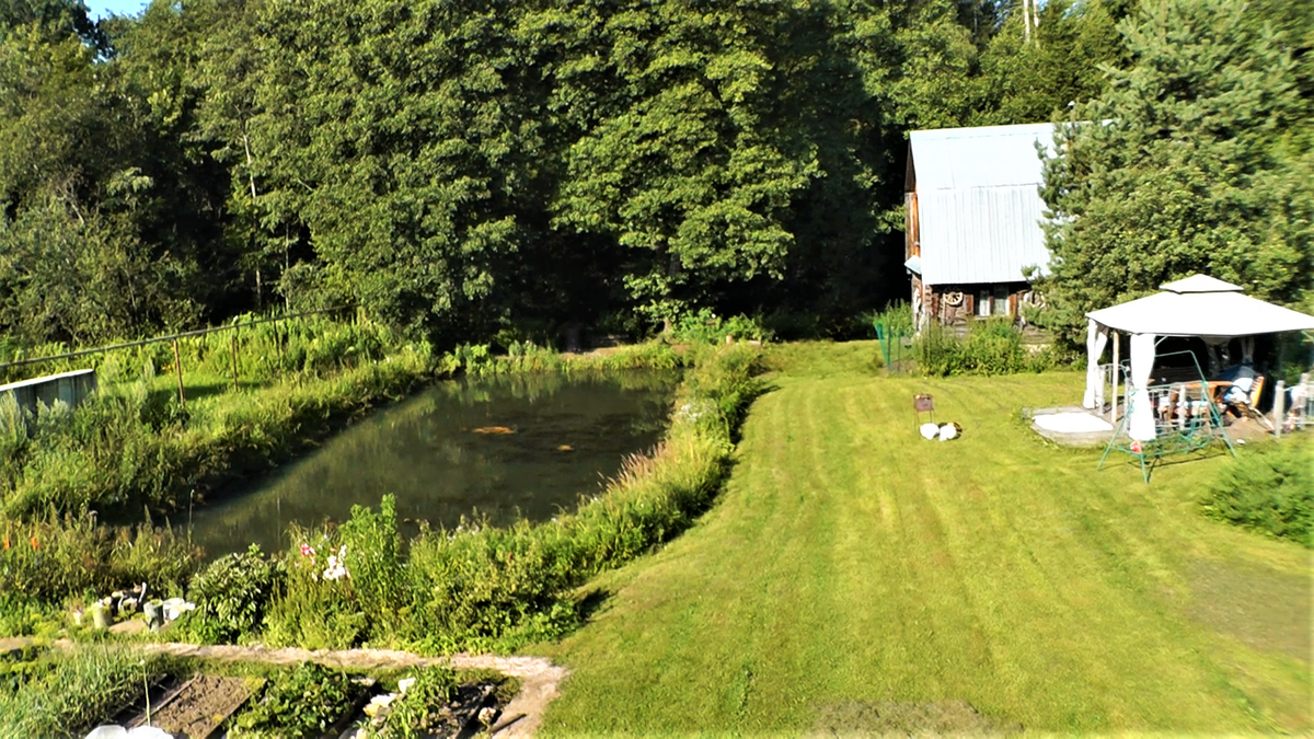 Наш участок и пруд