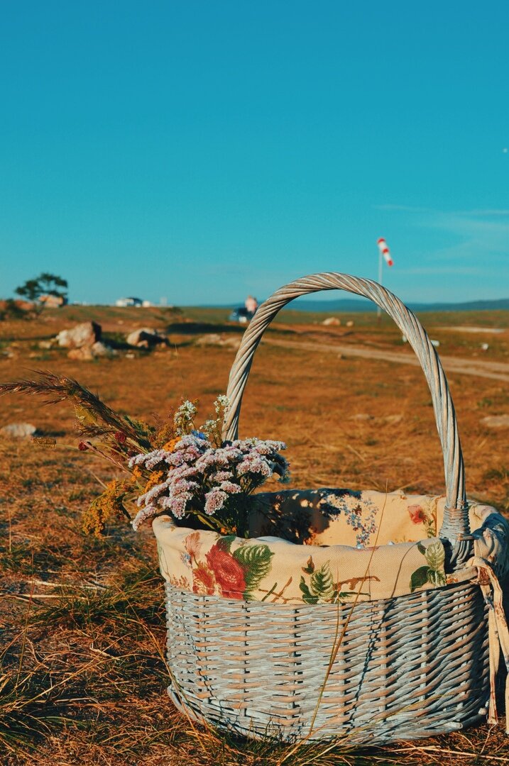 останавливаться на пикники... 