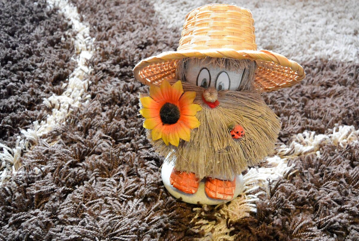 Источник фото: pixabay.com