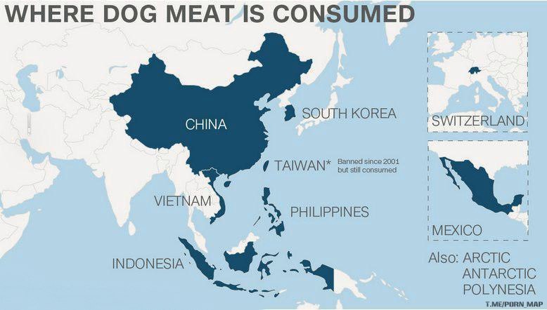 Страны, в которых мясо собак употребляют в пищу. На Тайване с 2001 года введен запрет на собачье мясо, но он не работает, также собак поедают на островах Полинезии. 