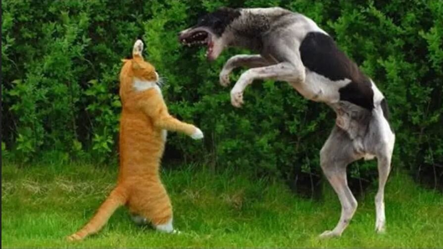 примерно так все и было, да-да!)