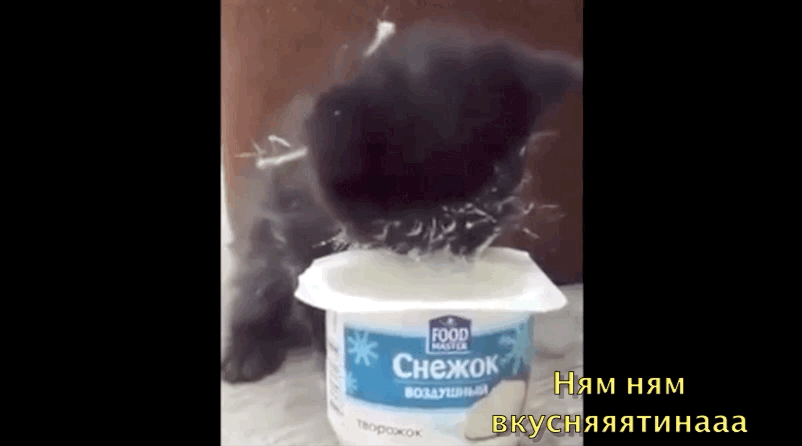 Мммм вот это я понимаю отношение к повелителю